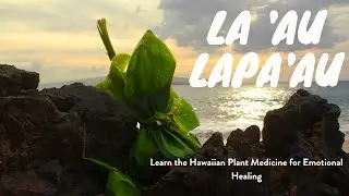 Emotional Trauma & Hawaiian Wisdom: The Forgiveness Power of Hawaiian Plant Medicine