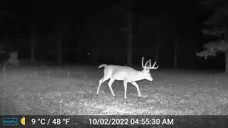 Great Gardepro A3 Night Video