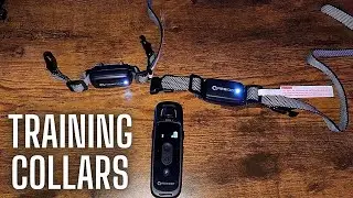 Need training collars? These are a great set