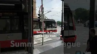 Classic Prague Vibes at Caf&eacute; Slavia - Czech National Theatre & Tram view