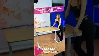 Xiaomi Electric Lifting Desk  Компьютерный стол с электрической регулировкой высоты