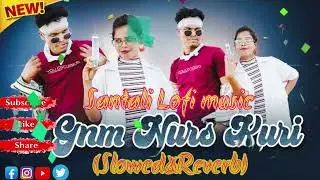 GNM NURS KURI NEW SANTALI LOFI SONG 2024-25