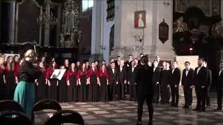 Cicha noc - opr. Miłosz Bembinow