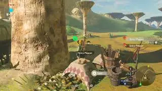 Tabantha Bridge Stable &ndash; Zelda: BOTW (Switch 2)