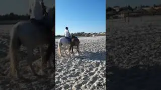 Tunisia Hammamet 2017 horse riding
