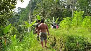 Rice-Cliff Trekking