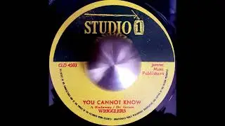 WRIGGLERS - You Cannot Know 1968