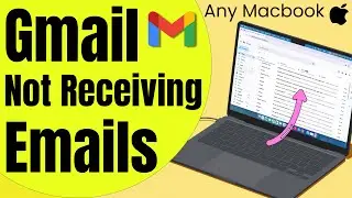 How to Fix Gmail Not Receiving Emails (Browser or Desktop)