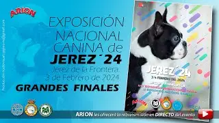Exposiciones Nacional Canina - Jerez 2024