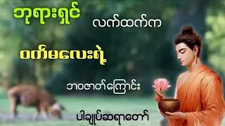 ဘုရားရှင်လက်ထက်က ဝက်မလေးရဲ့ ဘဝဇာတ်အကြောင်း #ပါချုပ်ဆရာတော်ဘုရားကြီးတရားတော်များ2025 