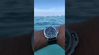 Luminor Marina Panerai PAM 777. #music #panerai #luminor #marina #funnyvideo #watches #funny