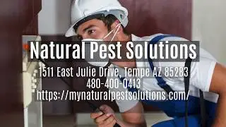 Natural Pest Solutions - Pest Control, Exterminator, & Fumigator Services in Tempe AZ and Phoenix