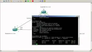 Cisco Discovery Protocol Basics