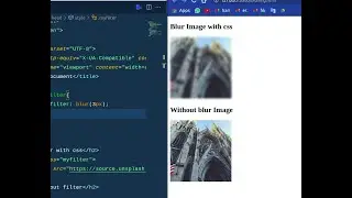 Image blur with css | CSS Concepts on Short Videos With Source Code