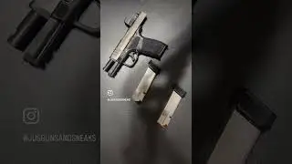 Springfield HellCat Pro Comp w/ Vortex Defender CCW & M&P shield Plus #ccw