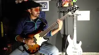 Yamaha BB435 bass with Delano pickups. demo