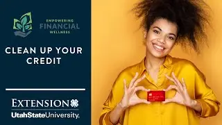 Clean Up your Credit