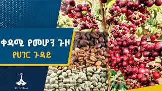ኢትዮጵያ ከዓለም ቀዳሚ ቡና አምራች ሀገር ለመሆን እየተጋች ነው | Coffee Arabica | Etv | Ethiopia | News zena