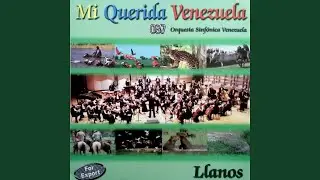 Enfurecida