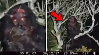 A Voice ANSWERED Back&hellip; What They Saw Was NOT Human