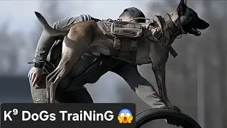 Train Your Dog in Just 7 Days 😱 U.S. Techniques & Methods
