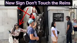 Respectful Tourists Capture Stunning Moments with King's Guards' Horses