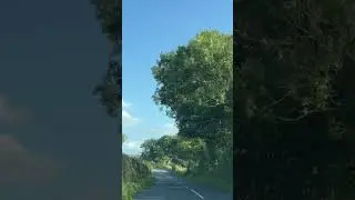 #shorts #countrylife #countrydrive #peacefulvibes