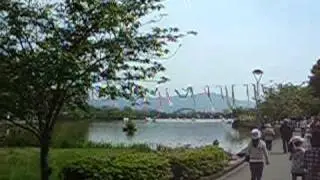 2010512　蓮花寺の藤