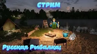 Русская Рыбалка 4 (Первый Раз Рыбачу хочу поймать сома)#рыбалка#gatorx#Lemo#Россия