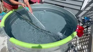 Stock Tank Pool Vacuum - First Time Testing it out!
