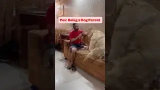 POV: Being a dog parent #dog #doglife #dogpaw #trending #trendingnow #funny #lifestyle