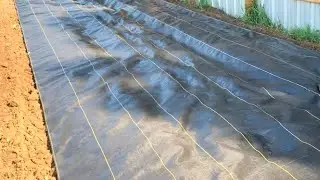 Garden ground cover| Where to buy it