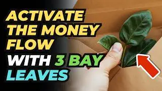 Hide 3 Bay Leaves in This Spot&mdash;and Watch Wealth Chase You | Feng Shui