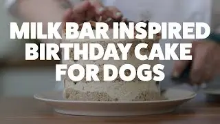 Easy Milk Bar Dog Birthday Cake Recipe | Kiki's Canine Kitchen | Rover