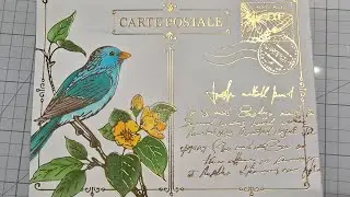 Jan 2026  Foil & Betterpress of the month  & 3D embossing folder