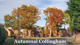 Autumnal Collingham 2021
