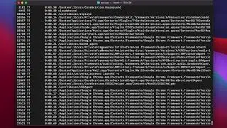 Mac OS Terminal - ps