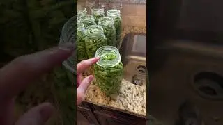 How To Can Green Beans: SO EASY!    #canning #homesteading #farmlife
