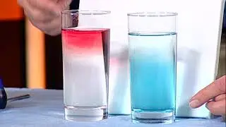 Science with Dr. Bob - Thai Iced Tea & Evolution