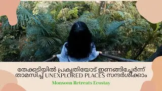 ഞങ്ങൾ 4 Family യും കൂടി തേക്കടിയിലെ ഒരു ഏലത്തോട്ടത്തിൽ താമസിച്ചു | Monsoon Retreats Ecostay Thekkady