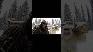 Bigfoot's SECRET Log Cabin Building Method EXPOSED! #bigfoot  #vlog