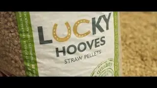 How to choose best quality straw pellets?