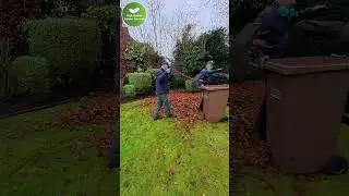 Leaf Clearance Transformation | Satisfying Garden Clean-Up