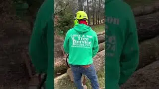 Local Tree Services -Tree Removal - Denville NJ