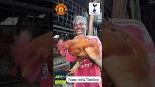 Гордость перезагружена... #ggmu