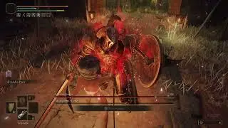 Elden Ring - Misbegotten & Crucible Knight | No Damage