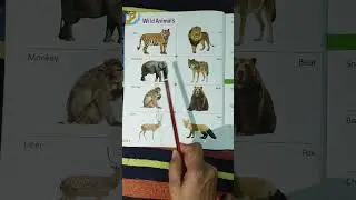 #Wild animals name #Jangli janwar ke name #Kids learning#funny #viral video #trendig #english #