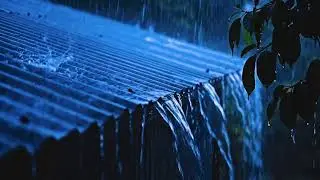 Romantic Dark Night ASMR: Soft Rain on a Tin Roof, Whispering Love Beneath the Midnight Sky
