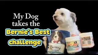 Will my dog like Bernie&rsquo;s Best products?