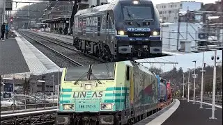 Compilation of Freight Train (4K) at Diest & Zichem Station 31-01-25